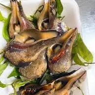 Hình ảnh Ốc Búa Nướng Mắm Ớt 