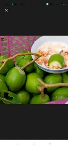 Hình ảnh Cóc non nguyên trái 1 Kg - muối tôm