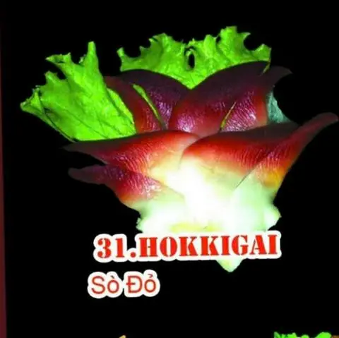 Hình ảnh 31 hokkigai