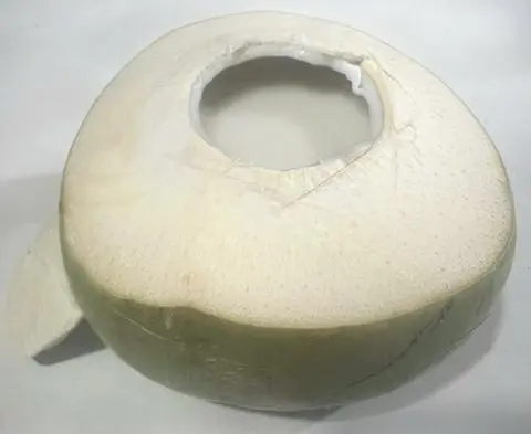 Hình ảnh Rau Câu Dừa Trái Vừa-CÒN vỏ