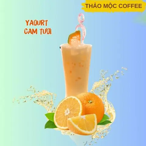 Hình ảnh Yaourt cam tươi