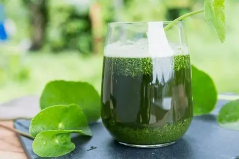Hình ảnh RAU MÁ ĐƯỜNG