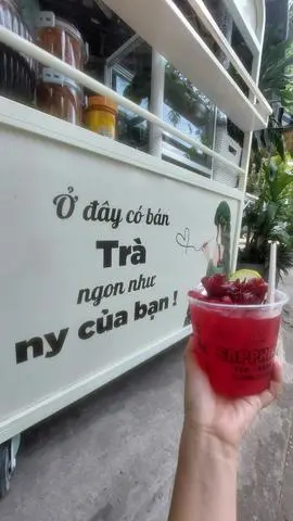 Hình ảnh trà hoa atiso đỏ