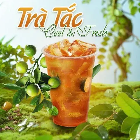 Hình ảnh Trà túi lọc Lipton tắc