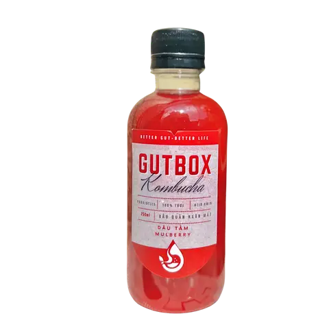 Hình ảnh Kombucha Dâu tằm
