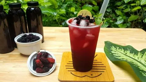 Hình ảnh Dâu Tằm Ngọc Trai 