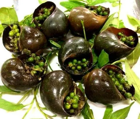 Hình ảnh ốc bươu nướng tiêu xanh
