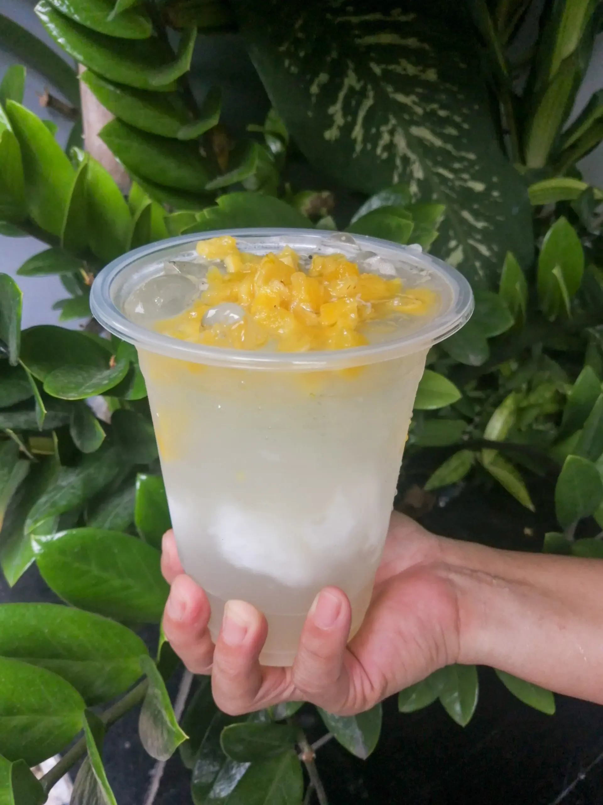 Hình ảnh Dừa Mứt Thơm - Ly Khổng Lồ