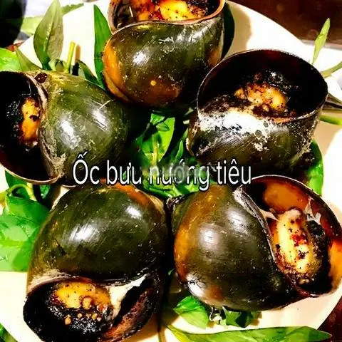 Hình ảnh Ốc bươu nướng tiêu