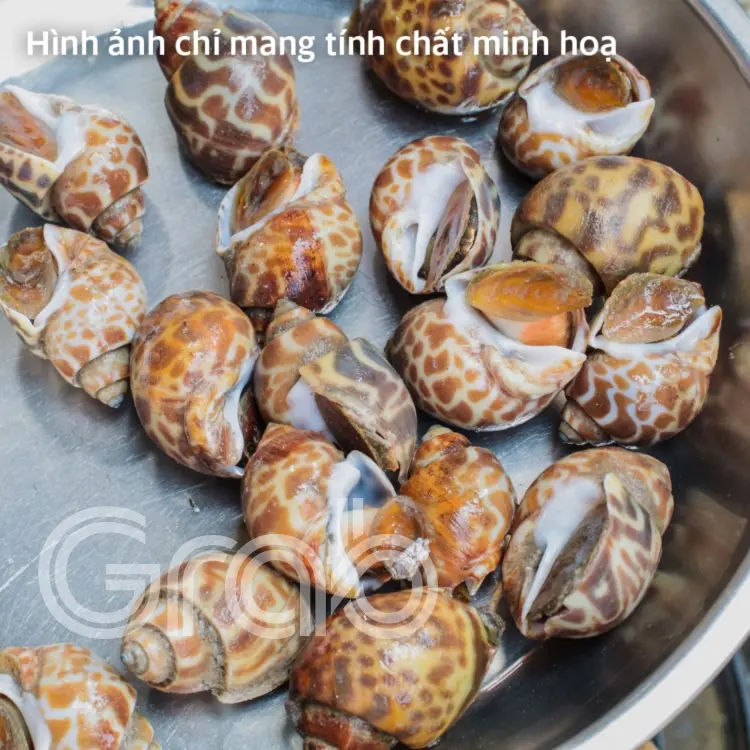 Hình ảnh Ốc hương xào sate