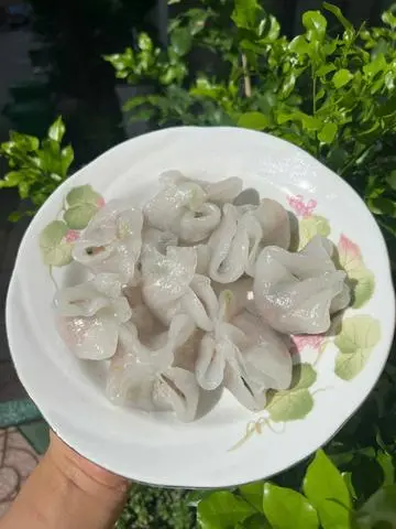 Hình ảnh Há cảo cần