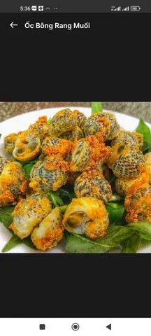 Hình ảnh ỐC BÔNG RANG MUỐI