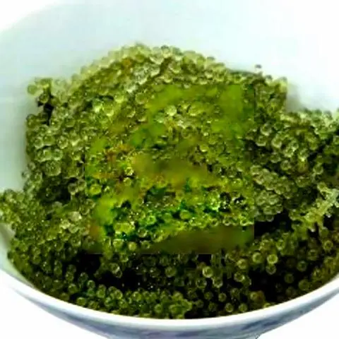 Hình ảnh Rong nho tươi