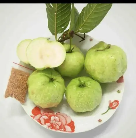 Hình ảnh Ổi nữ hoàng cắt sẵn _500gr