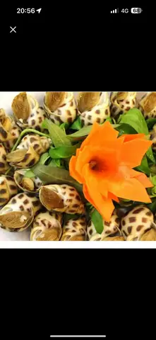 Hình ảnh Ốc Hương hấp sả