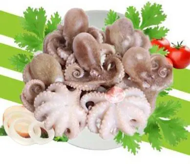 Hình ảnh Bạch Tuộc thêm 
