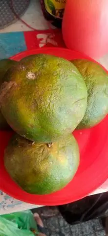Hình ảnh Cam ép