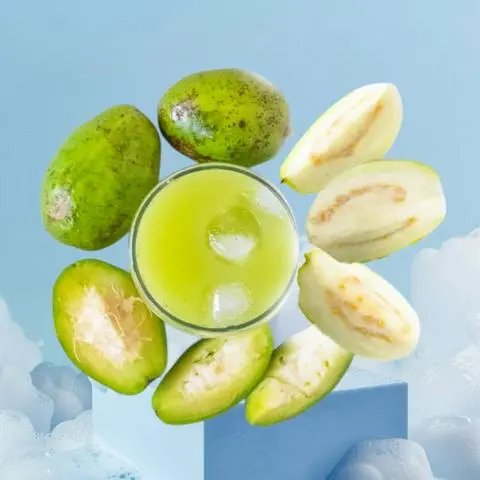 Hình ảnh NƯỚC ÉP CÓC ỔI (chai 330ml)