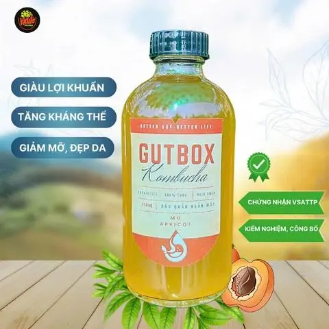 Hình ảnh Kombucha Tươi - Vị Mơ
