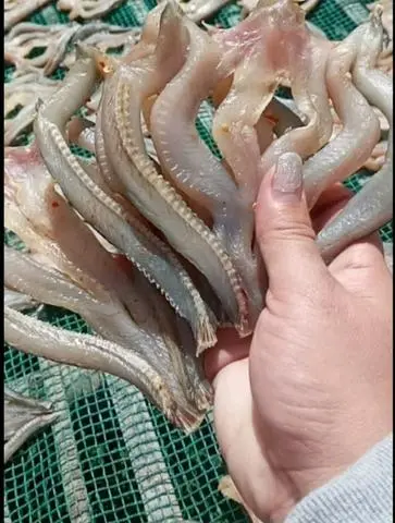 Hình ảnh khô cá lóc đồng 500g