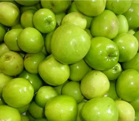 Hình ảnh Táo  Bình Thuận   Bao  Giòn  Ngọt 