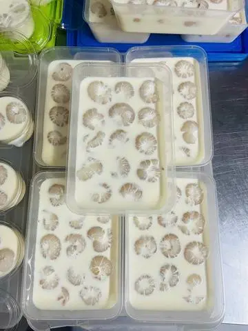 Hình ảnh  khúc bạch siêu vải 