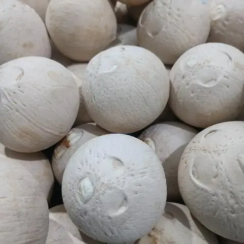 Hình ảnh Dừa trọc size L