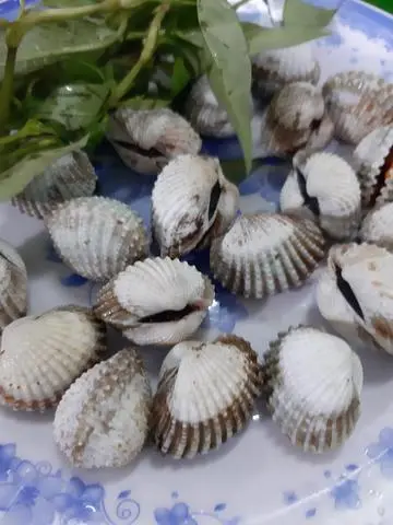 Hình ảnh Sò huyết nướng mọi