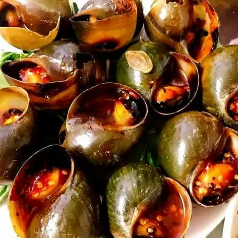Hình ảnh Ốc bươu nướng muối ớt