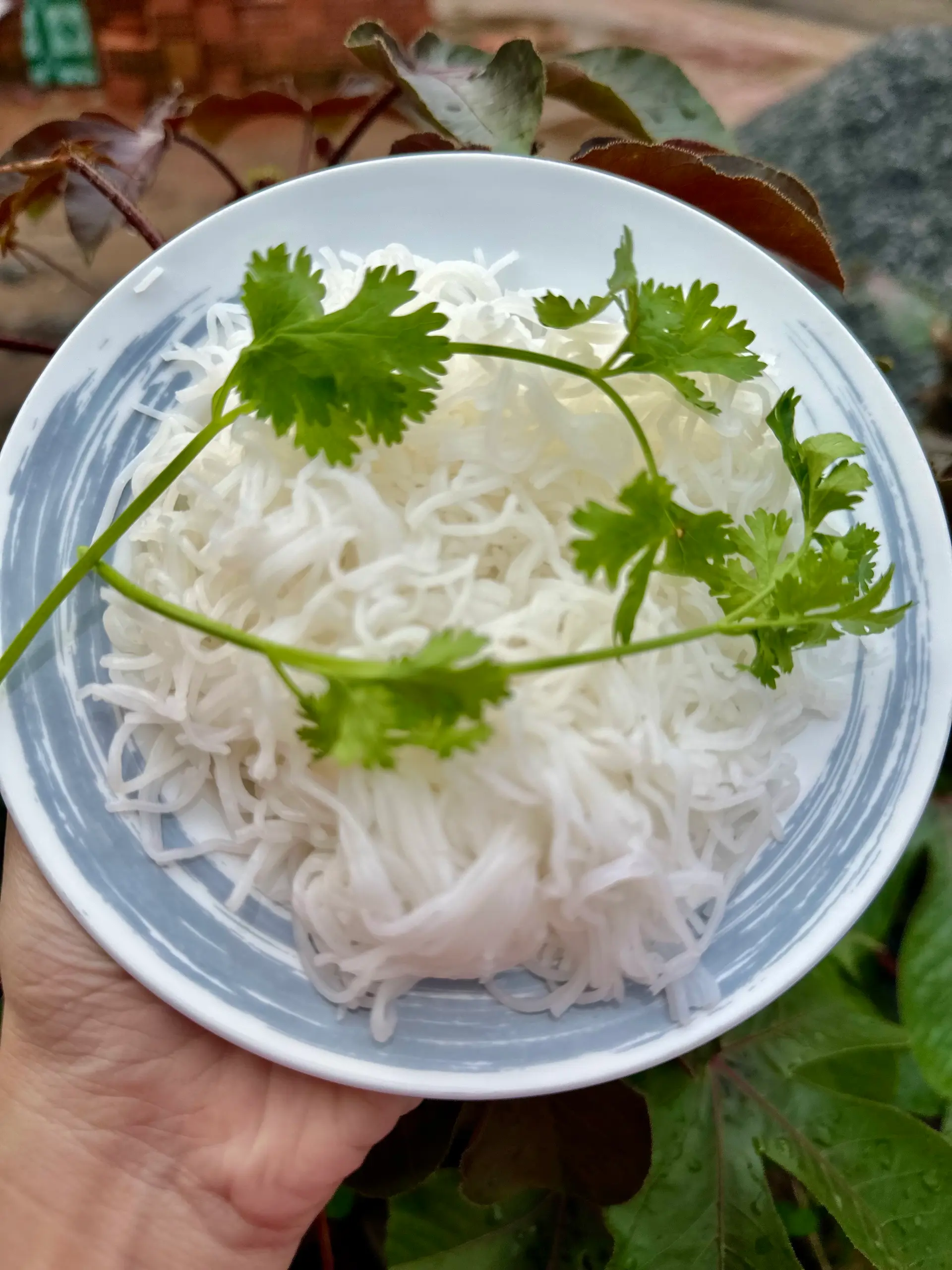 Hình ảnh Bún thêm
