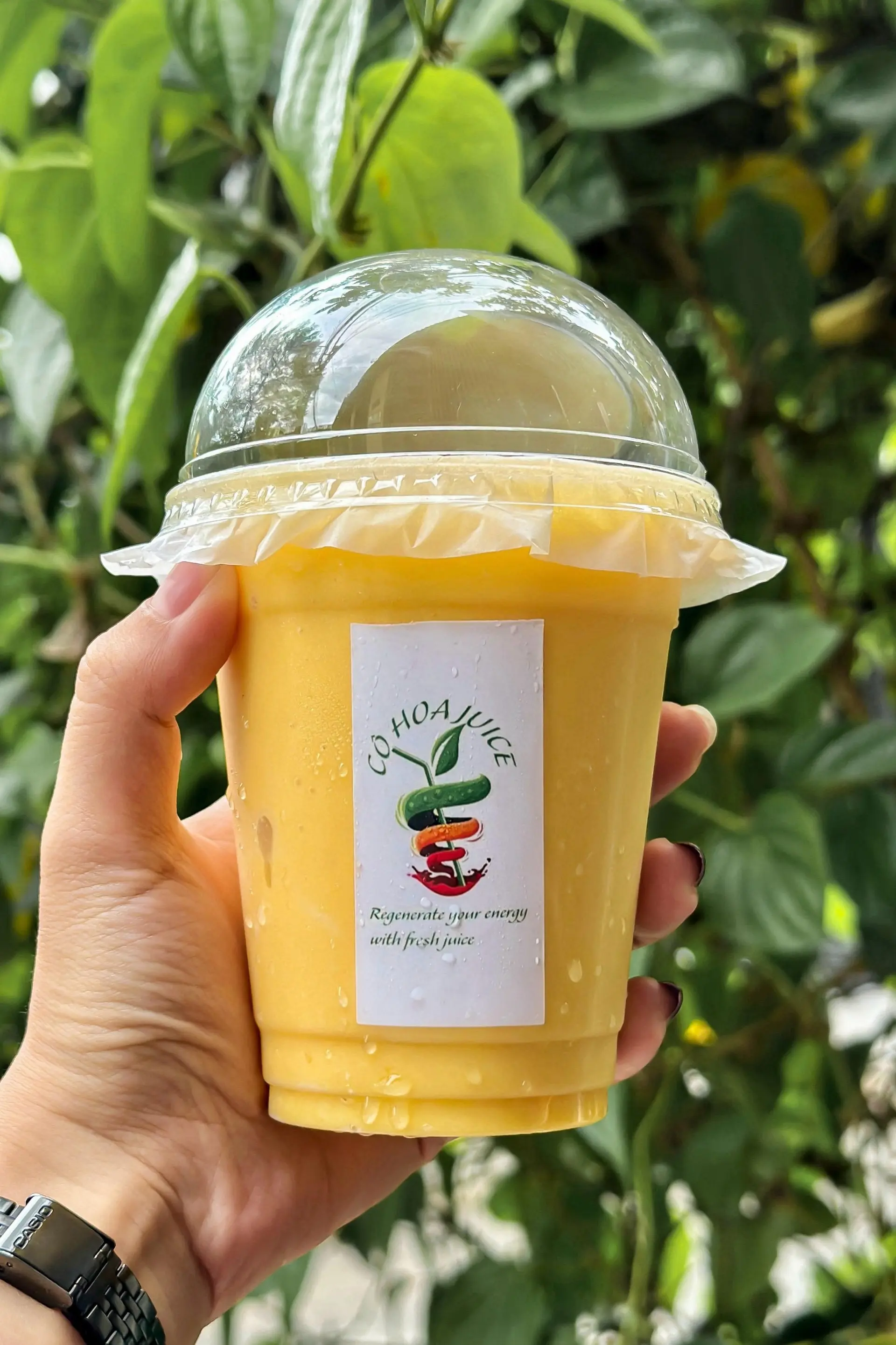Hình ảnh Sinh Tố Xoài Vàng Óng, Đậm Vị ( nên thử )