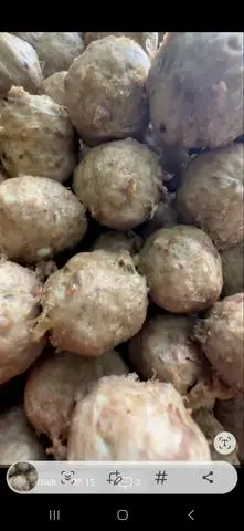 Hình ảnh 10 viên bò viên thơm ngon 