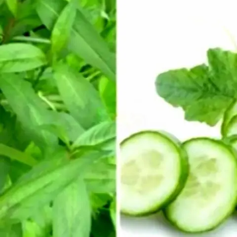 Hình ảnh Muối Ớt Nhà Làm - Rau Răm - Dưa Leo