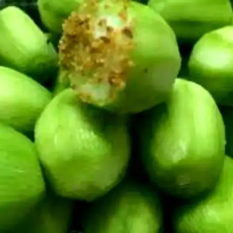 Hình ảnh Cóc non gọt sẵn ( 500gr) tặng muối 