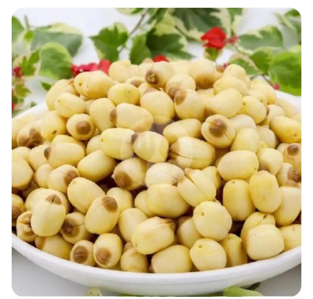 Hình ảnh Hạt Sen