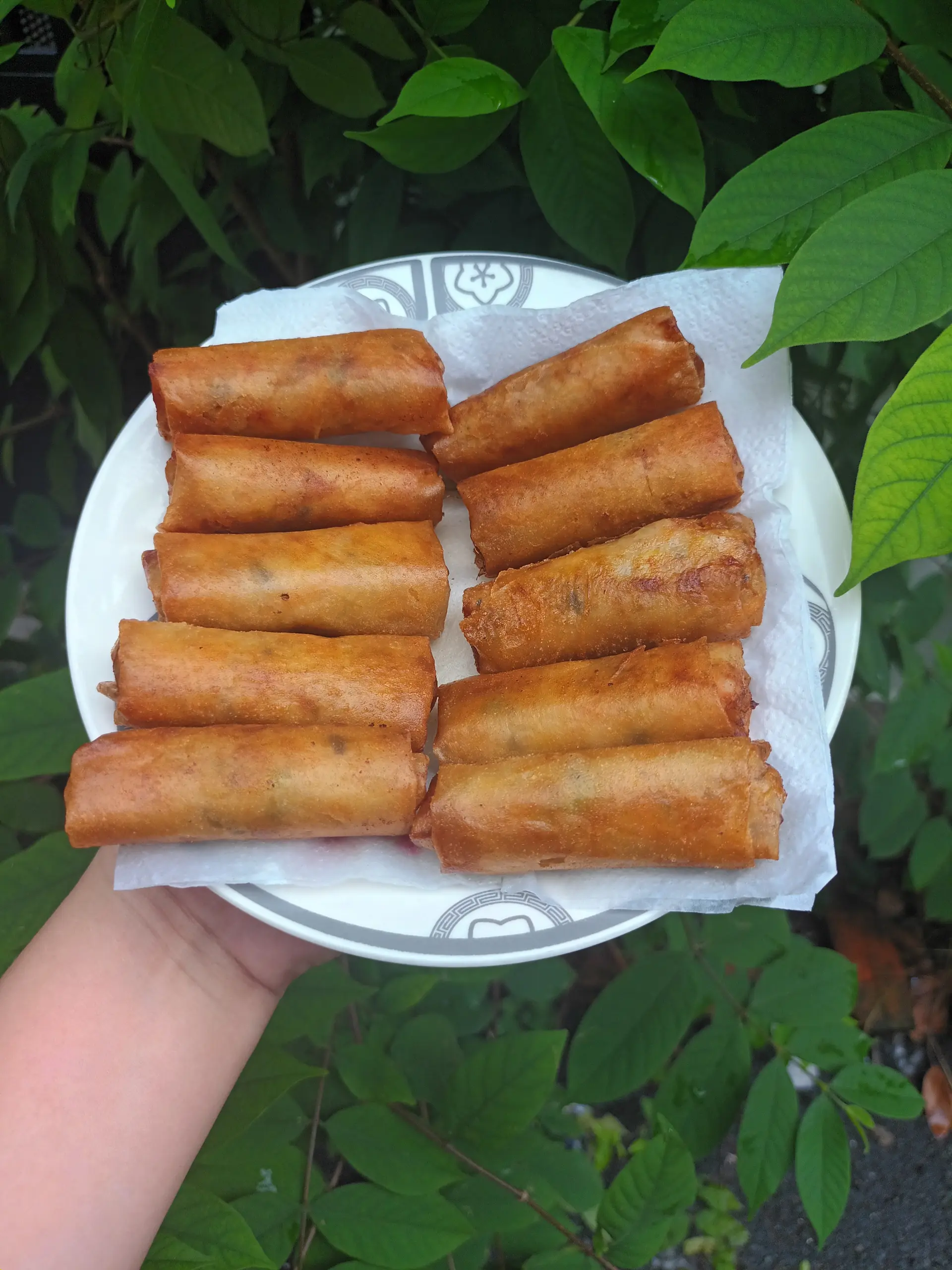 Hình ảnh phần 10 cuốn chả giò tôm thịt chiên ( kèm rau, mắm )