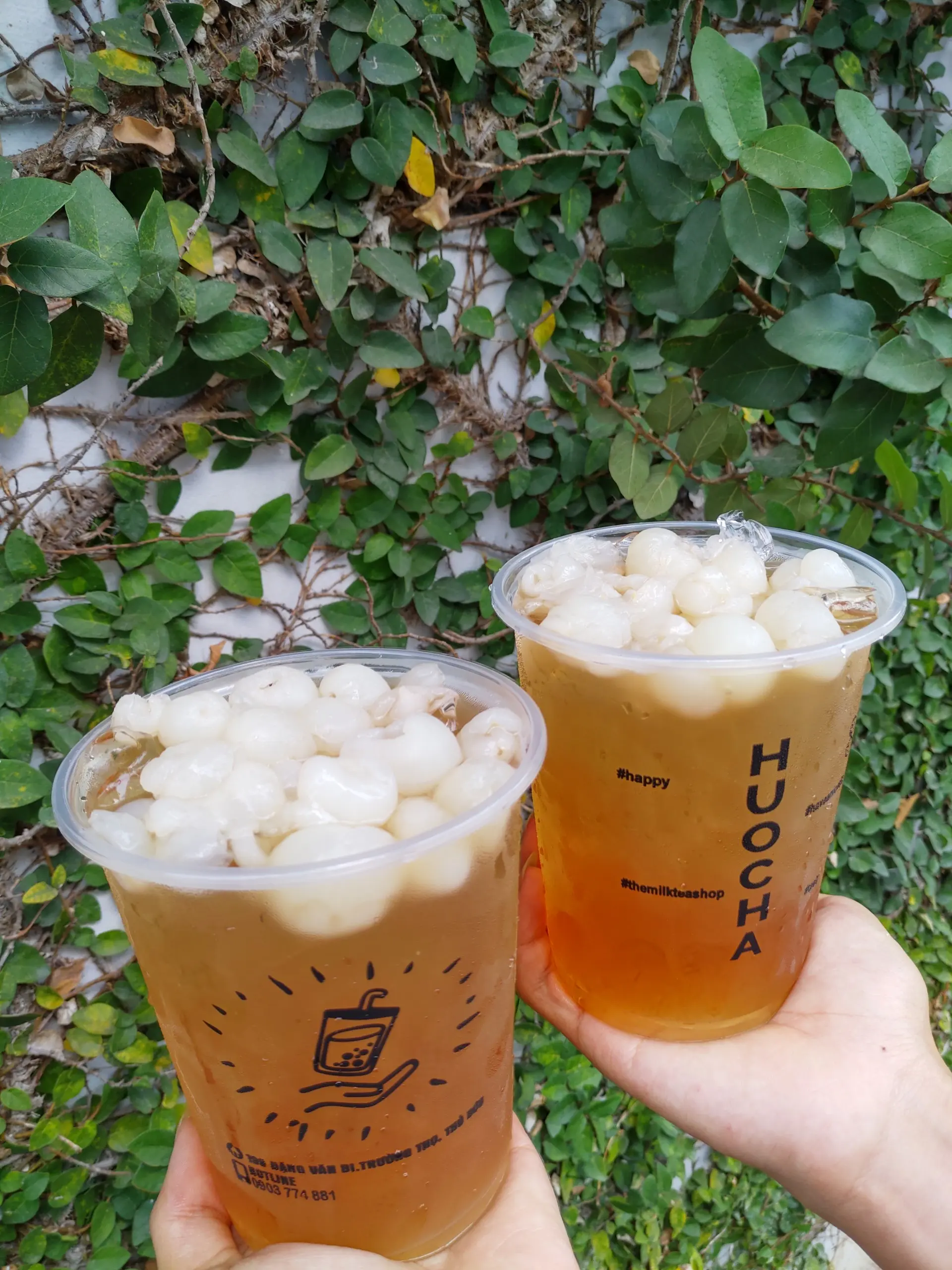 Hình ảnh TRÀ NHÃN