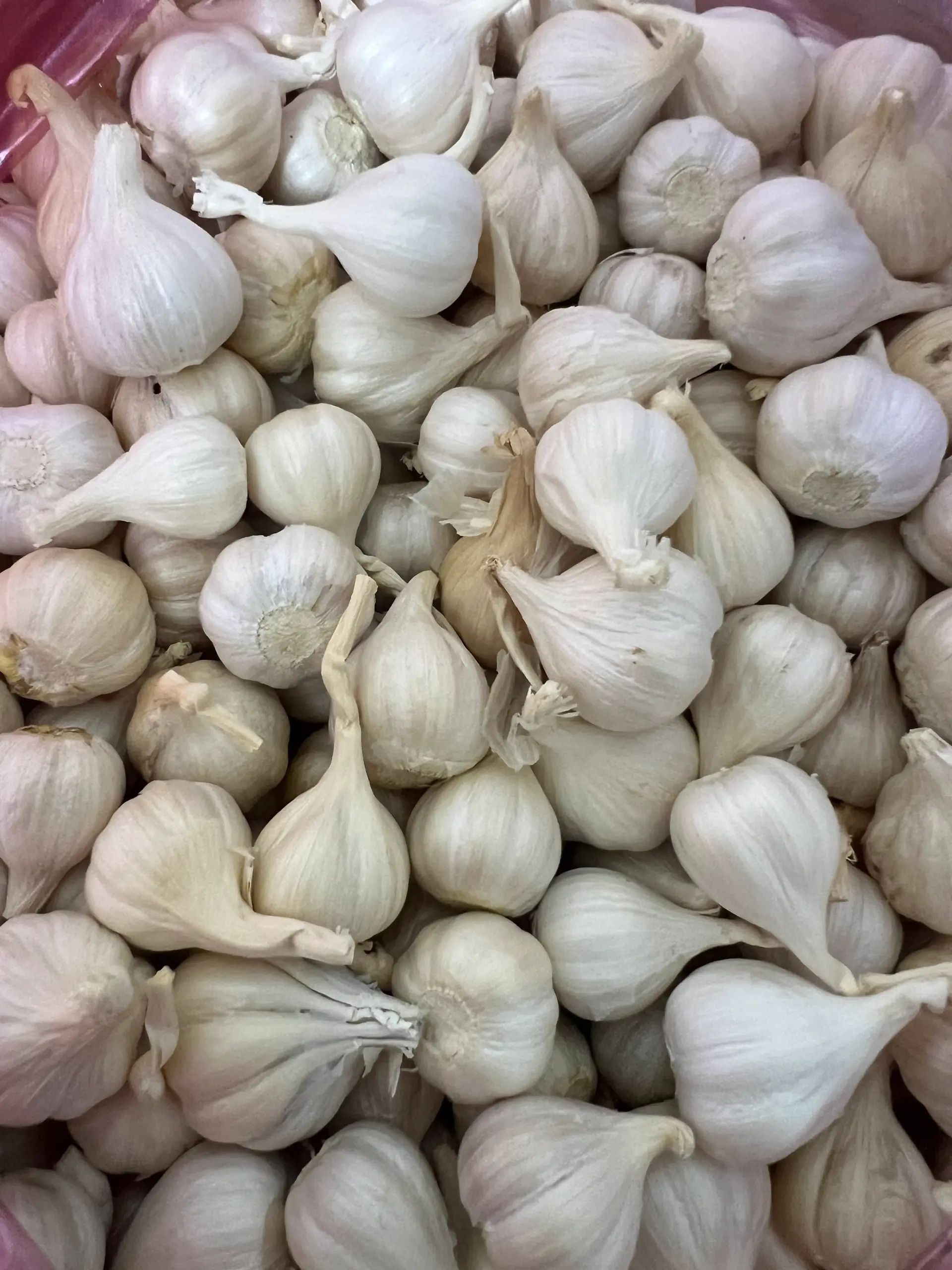 Hình ảnh Tỏi Lý Sơn - 100g