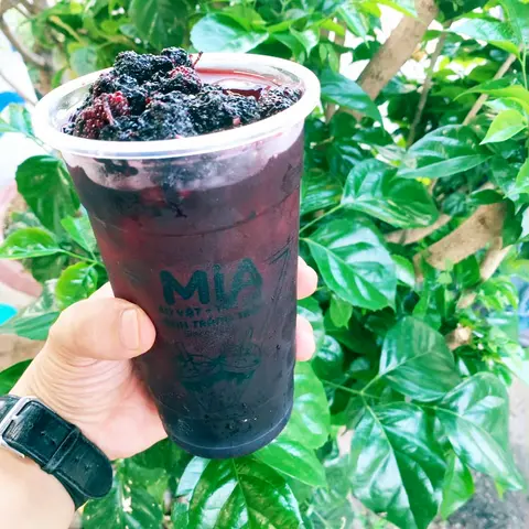 Hình ảnh Trà Dâu Tằm