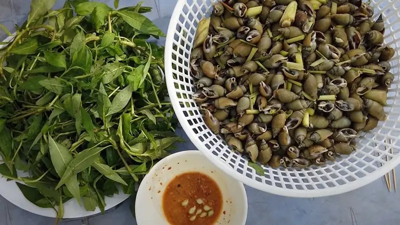 Hình ảnh ốc cà na hấp sả