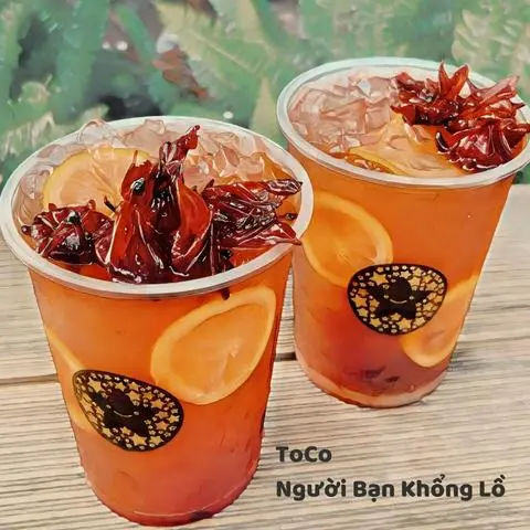 Hình ảnh Toco - Người bạn khổng lồ -Trà hoa Atiso đỏ