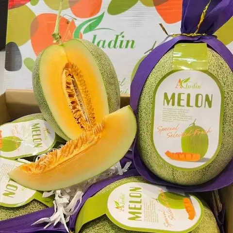 Hình ảnh DƯA LƯỚI MELON 