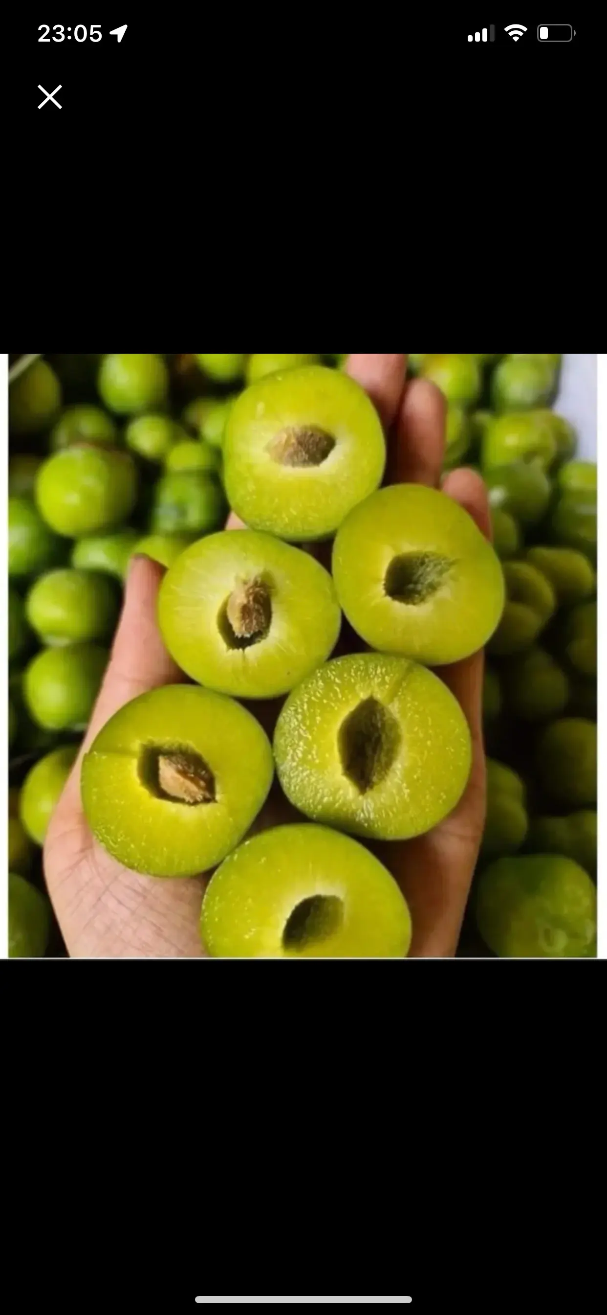 Hình ảnh Mận róc hạt 1kg