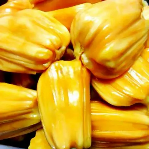 Hình ảnh Mít khay