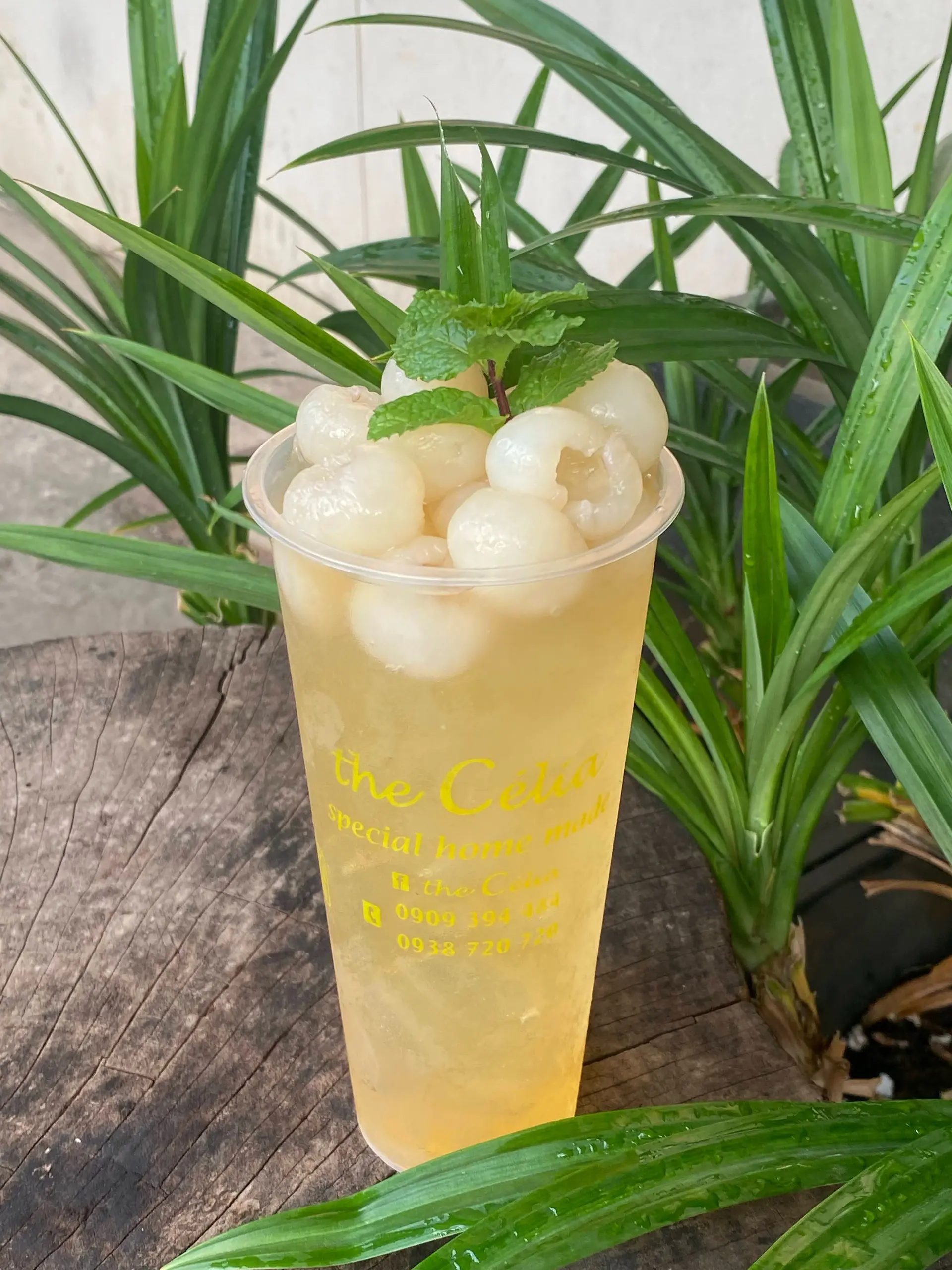 Hình ảnh NƯỚC LONG NHÃN THÁI