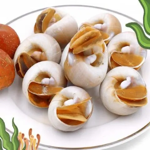 Hình ảnh ốc mỡ trắng