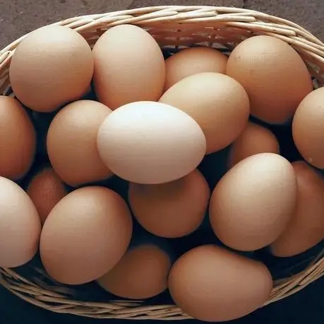 Hình ảnh Trứng Gà - 1 Trứng