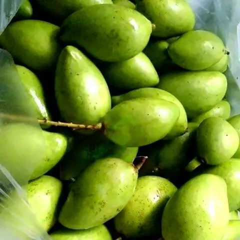 Hình ảnh Xoài non (1/2 kg)