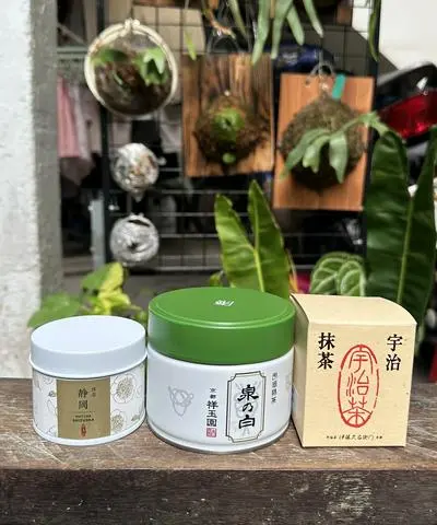 Hình ảnh Izumi no shiro (shogyokuen) - S