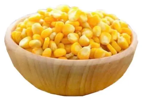 Hình ảnh Bắp 